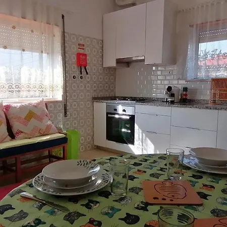 펜션 Moradia Santa Comba 산타 콤바 당