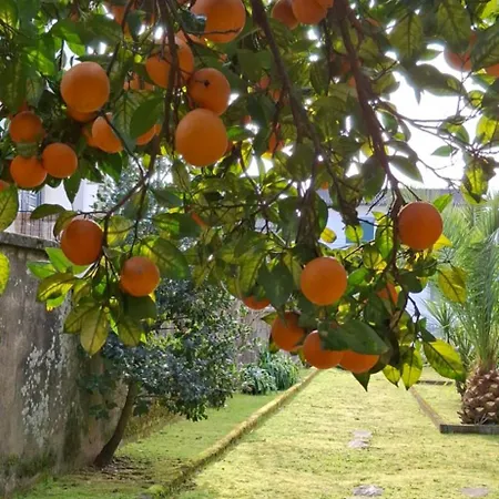 Moradia Santa Comba * 산타 콤바 당