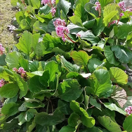 펜션 Moradia Santa Comba *