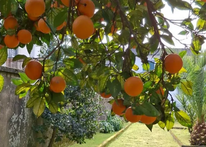 Moradia Santa Comba * Santa Comba Dao