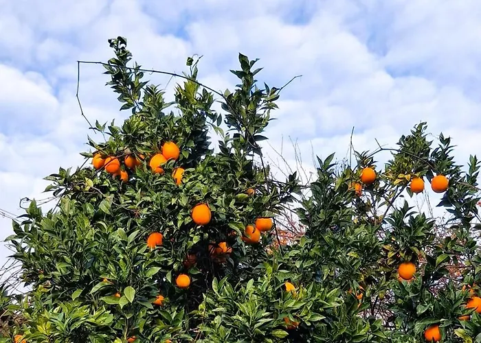 Moradia Santa Comba בית נופש