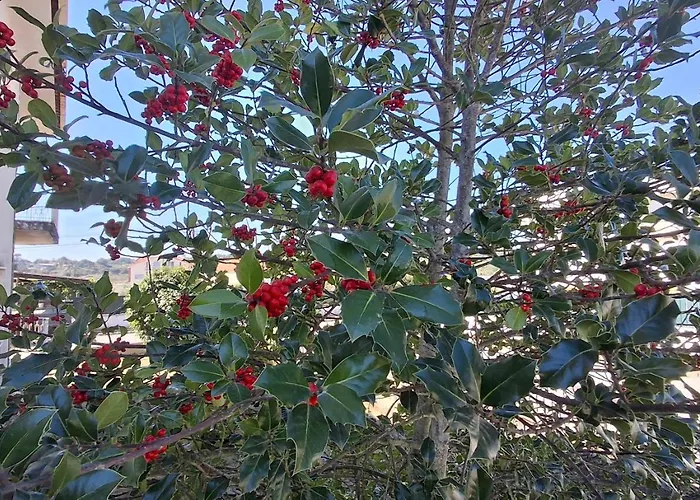 Hébergement de vacances Moradia Santa Comba