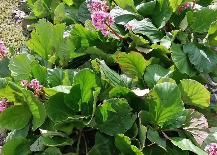 Hébergement de vacances Moradia Santa Comba *